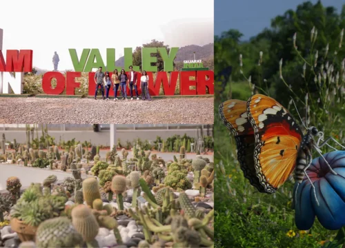 Statue of Unity: Summer Stay at  SOU Tent City-1