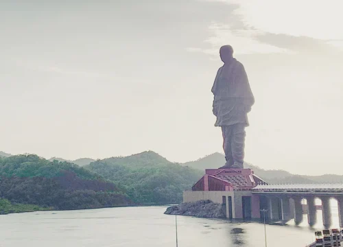 Bird Watching in the Monsoon: Avian Wonders Around Tent City-1